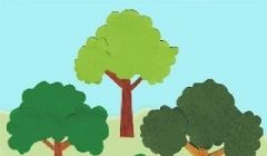 Plantio de 200 mudas de árvores na região das Perdizes.