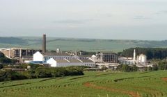 Petrobrás quer deixar São Martinho