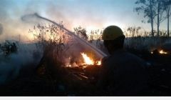Bombeiros tiveram trabalho para combater incêndio às margens de rodovia.