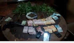 PM descobriu plantação de maconha em Quirinópolis