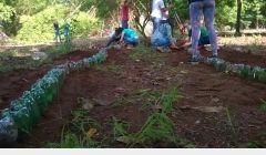 Jardim Botânico da UEG ganha trilha ecológica