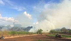 Incêndio destrói parte de reserva ambiental no Bairro Onício Resende 