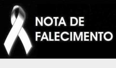 AVC mata “Rodolfo das Mudas”