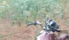 Recuperados dois veículos roubados/ furtados em Quirinópolis