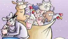 Ladrões furtaram gado em fazenda de Cachoeira Alta