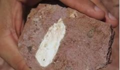 Dinossauros em Quirinópolis