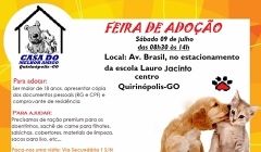 Feira para adoção de cães será realizada neste sábado (09) 