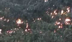 Moradores do Alexandrina reclamam de mau cheiro.