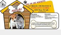 Feira para adoção de cães será realizada neste sábado (06) 