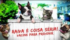 Vacinação contra a raiva animal, em Quirinópolis.