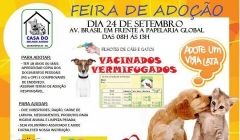 Feira para adoção de cães será realizada neste sábado (24) 