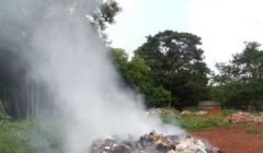 Denúncia: Caminhão descarrega lixo dentro da cidade.