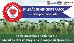 9º Leilão Beneficente da AAPCQ