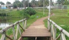 Parque da Liberdade e os seus riscos