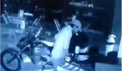 Furto na Padaria Central