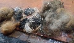 Polícia apreende armas e materiais de pesca predatória