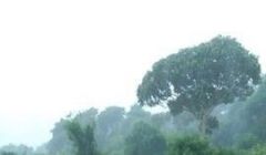 Ônibus com trabalhadores de usina tomba às margens de rodovia