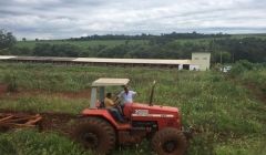 Detentos do CIS prestam importante trabalho na “ONG dos animais”