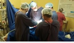 Hurso realiza nova captação de órgãos