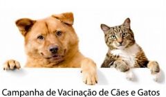 8 postos vão vacinar cães e gatos, no sábado, em Quirinópolis.