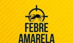 Confirmada morte de macaco, por febre amarela, em Gouvelândia