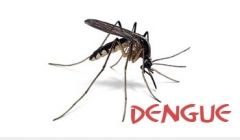 Rapaz morre vítima de Dengue, em Quirinópolis