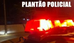 Árvore que estava sendo cortada cai e mata trabalhador, em Gouvelândia